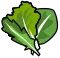 Loose-Leaf Lettuce 
